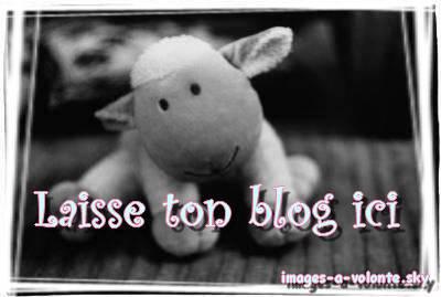 Laissez VOS bLOG !!!